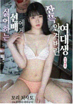 幸福一家人 电视剧免费观看